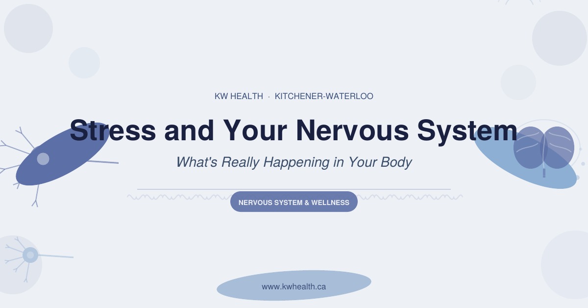 stress and your nervous system